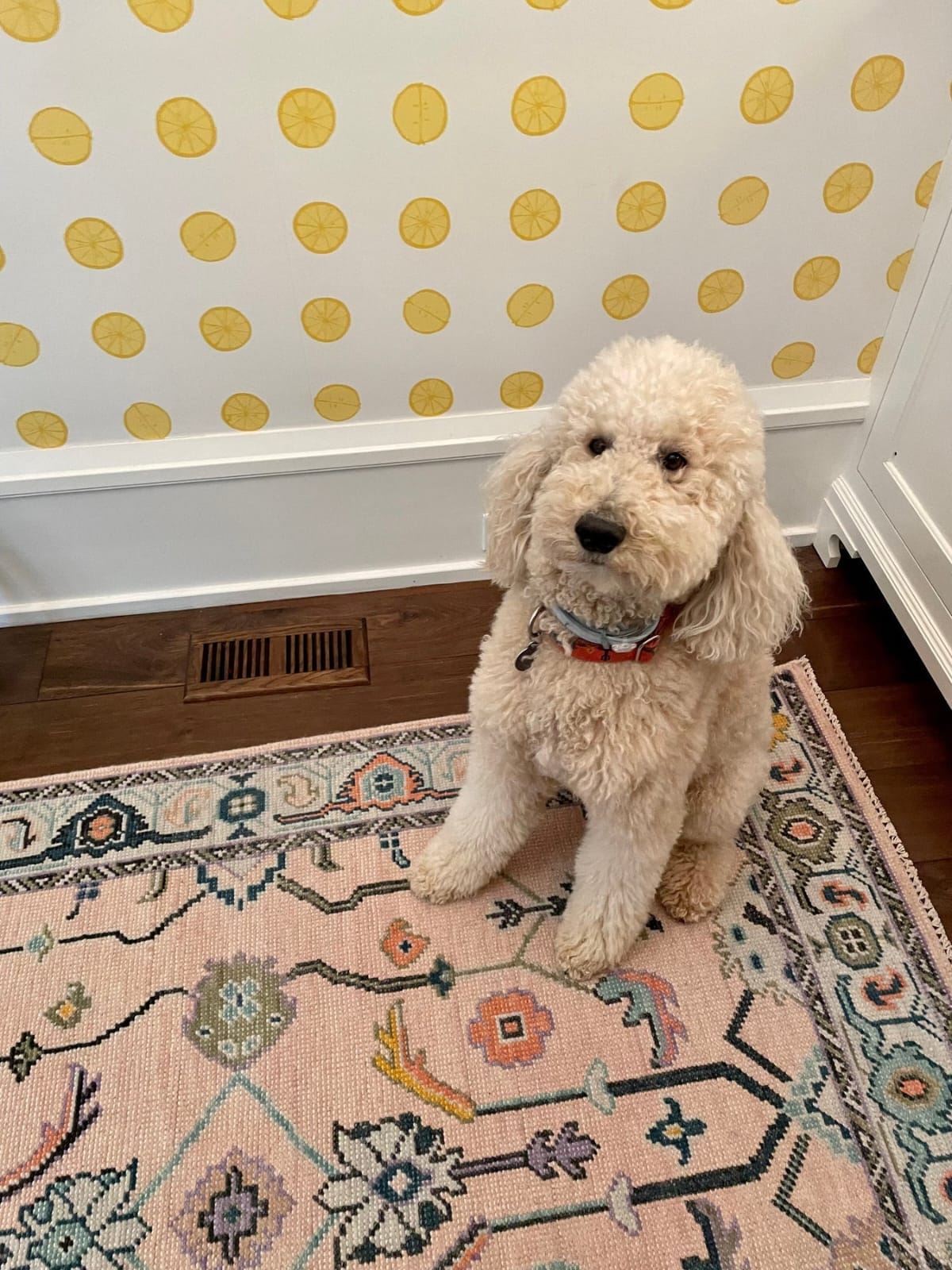 Oushak Rugs